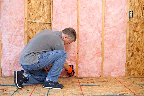 Best Insulation Installation Services in Burlington, IA